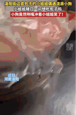 太暖心了。这只流浪狗被刚蒸好的包子香味吸引到了，它站在这家包子摊儿前不想走。摊