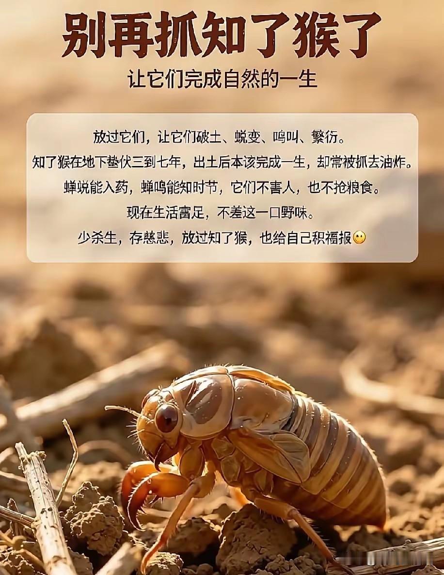 其实吃起来也就那样，不知道怎么能卖那么贵？