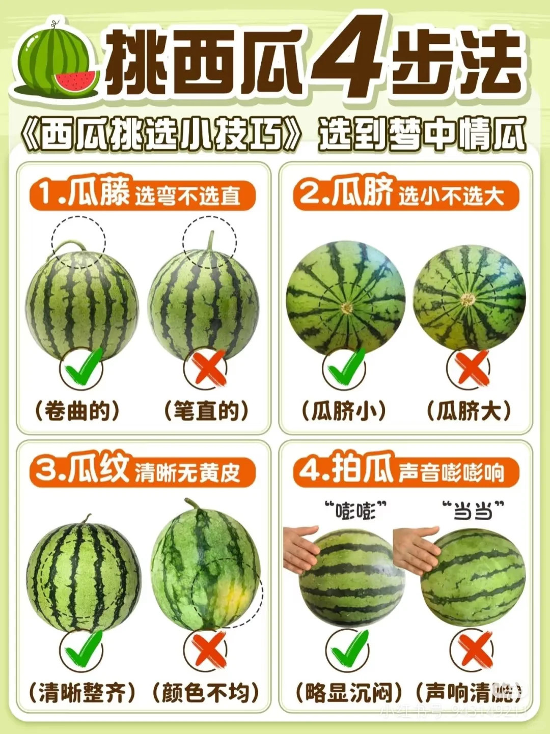 再进化下去西瓜皮要没有了上哪还能找到比西瓜更体贴的水果啊果子大又甜又多汁价格还