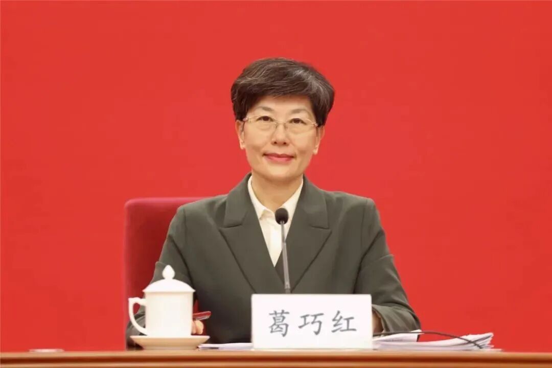 中储粮原总经理任河北省委常委