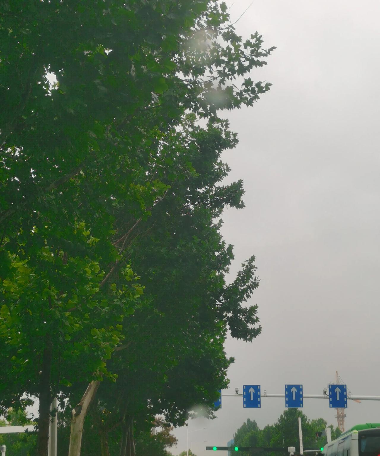 这夏季的的喜宴，确也好吃，但也难免吃的闹肚子了。必竞温度高了吧！[赞][赞]昨天