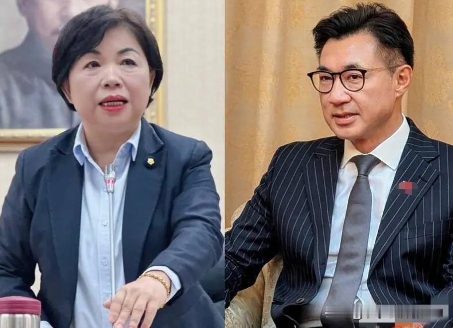 台中江启臣和杨琼樱互不相让，网友们早就喊破喉咙：郑丽文赶紧直接征召江启臣啊！