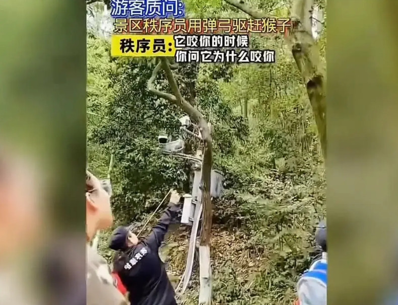 圣母心被击得粉碎，干得漂亮，起因一圣母心爆表的女游客看见景区工作人员在用弹弓打猴