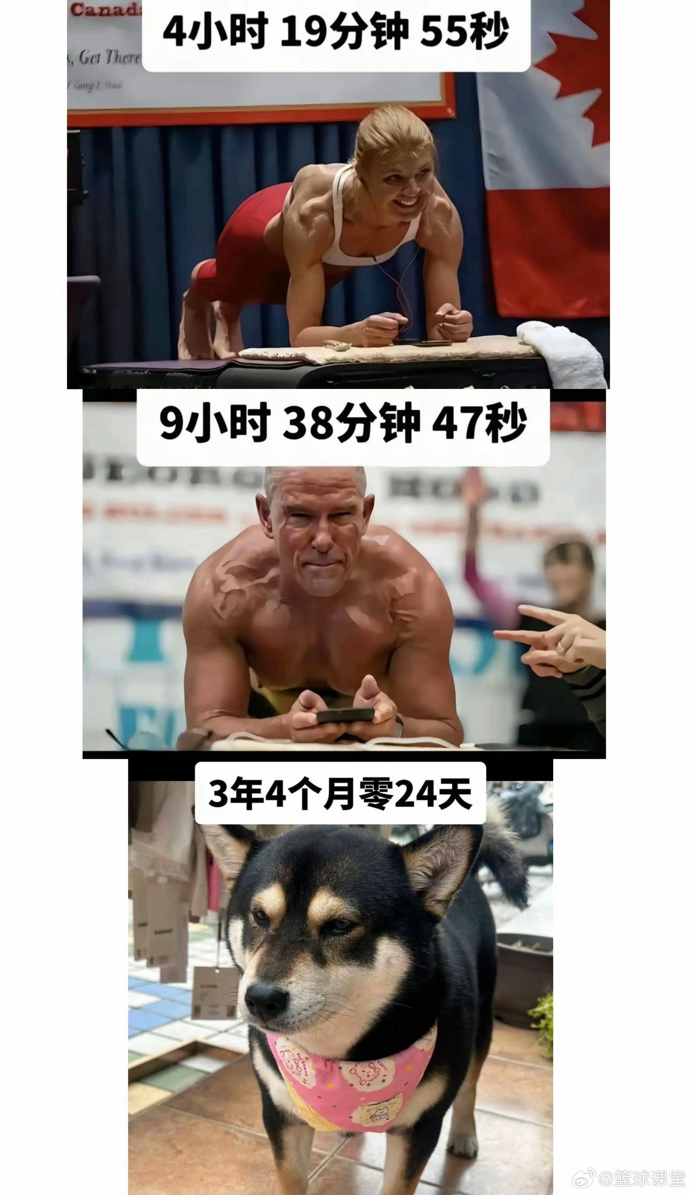 努力在天赋面前不值一提！