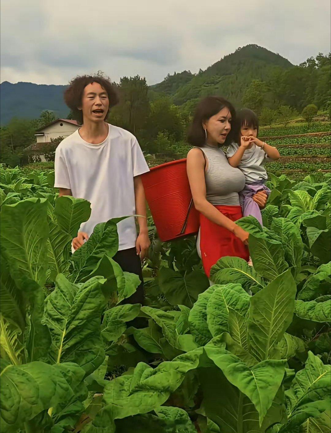 龚玥菲背着桶，抱着女儿，干爸庞麦郎唱着《我的父亲是瓦匠》，一家三口站烟地里，其乐