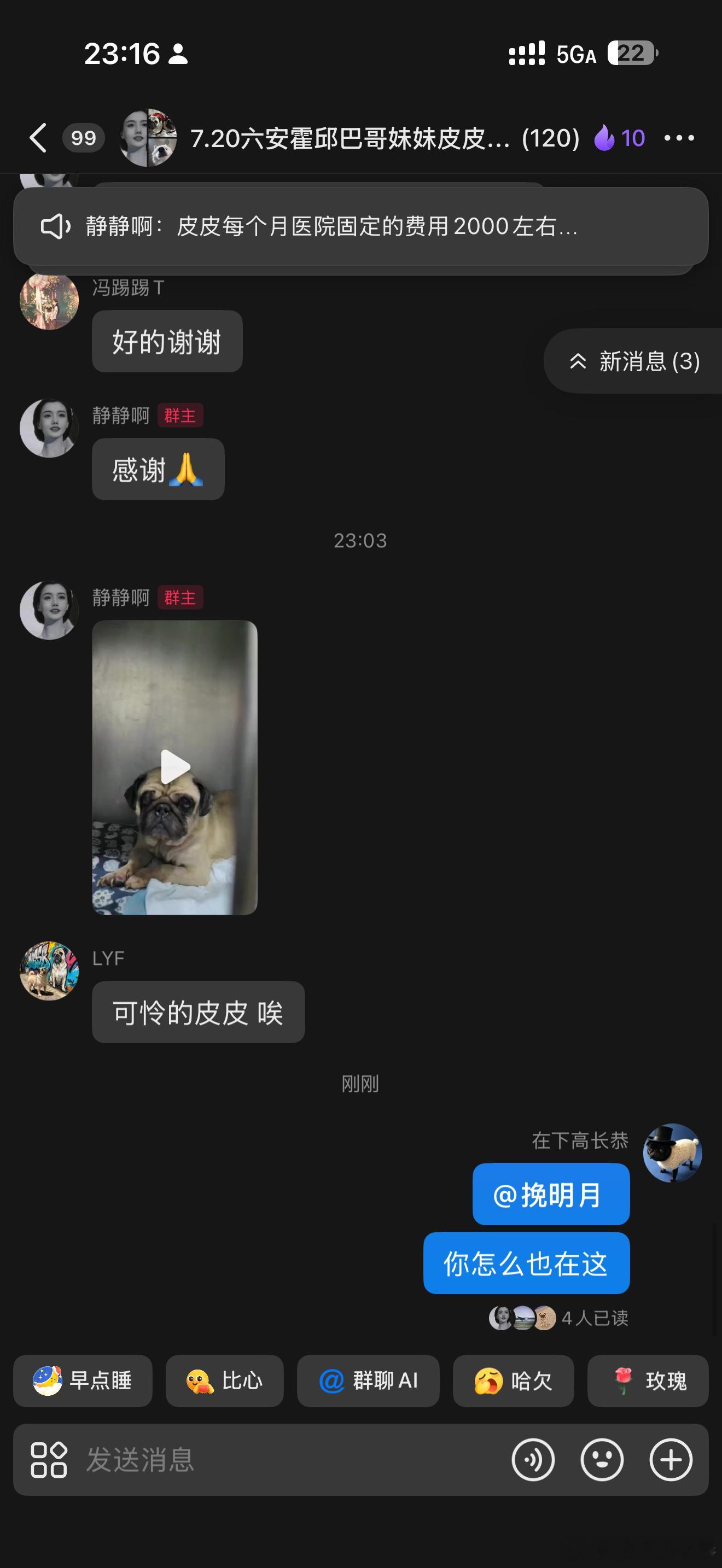 给流浪狗捐住，没想到我朋友也在群里面，当时我都惊呆了，我问他为什么不告诉我他说我