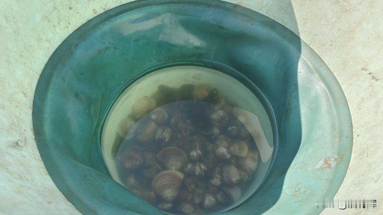 三九天早上起来脱鞋赶海。玩一次够了。还好这里不是热门景区，本地人为主，偶尔有个游