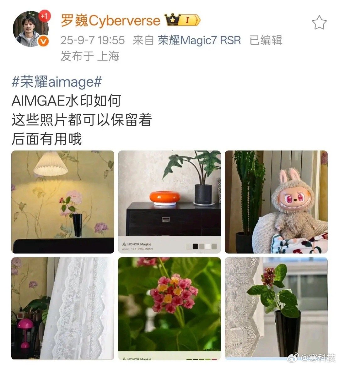 荣耀还真是能整活，AIMAGE不单有专属水印，还有色块新玩法，应该是每一种色块都