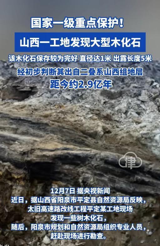 工地挖出“硬骨头”？山西阳泉惊现2.9亿年木化石，竟是国家一级宝！🔨太旧高