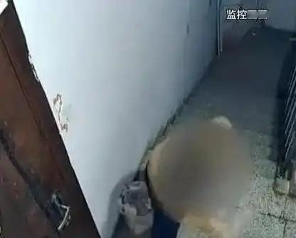 吉林一男子和家人入住新房后，多次遭到楼下患有精神病的女邻居砸门、谩骂。2年半时间
