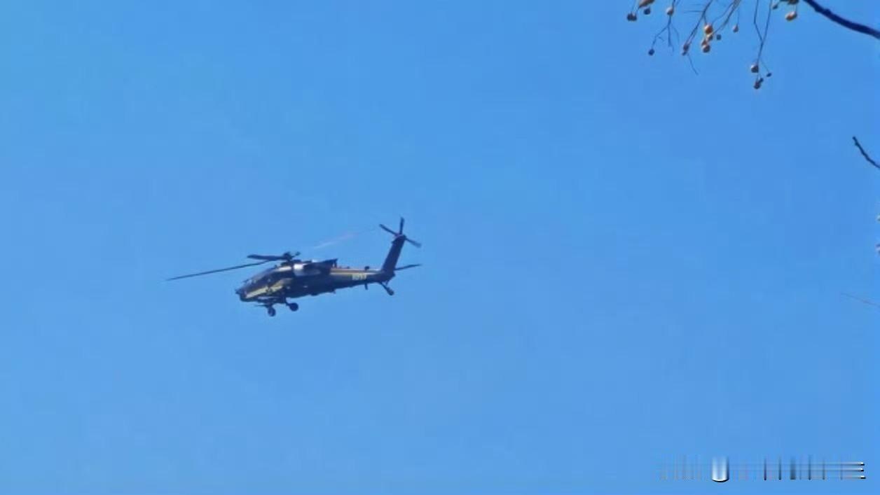 今天看到咱们这个疑似四位编号的最新重型武装直升机，感觉这哥们儿武德太充沛了！[赞