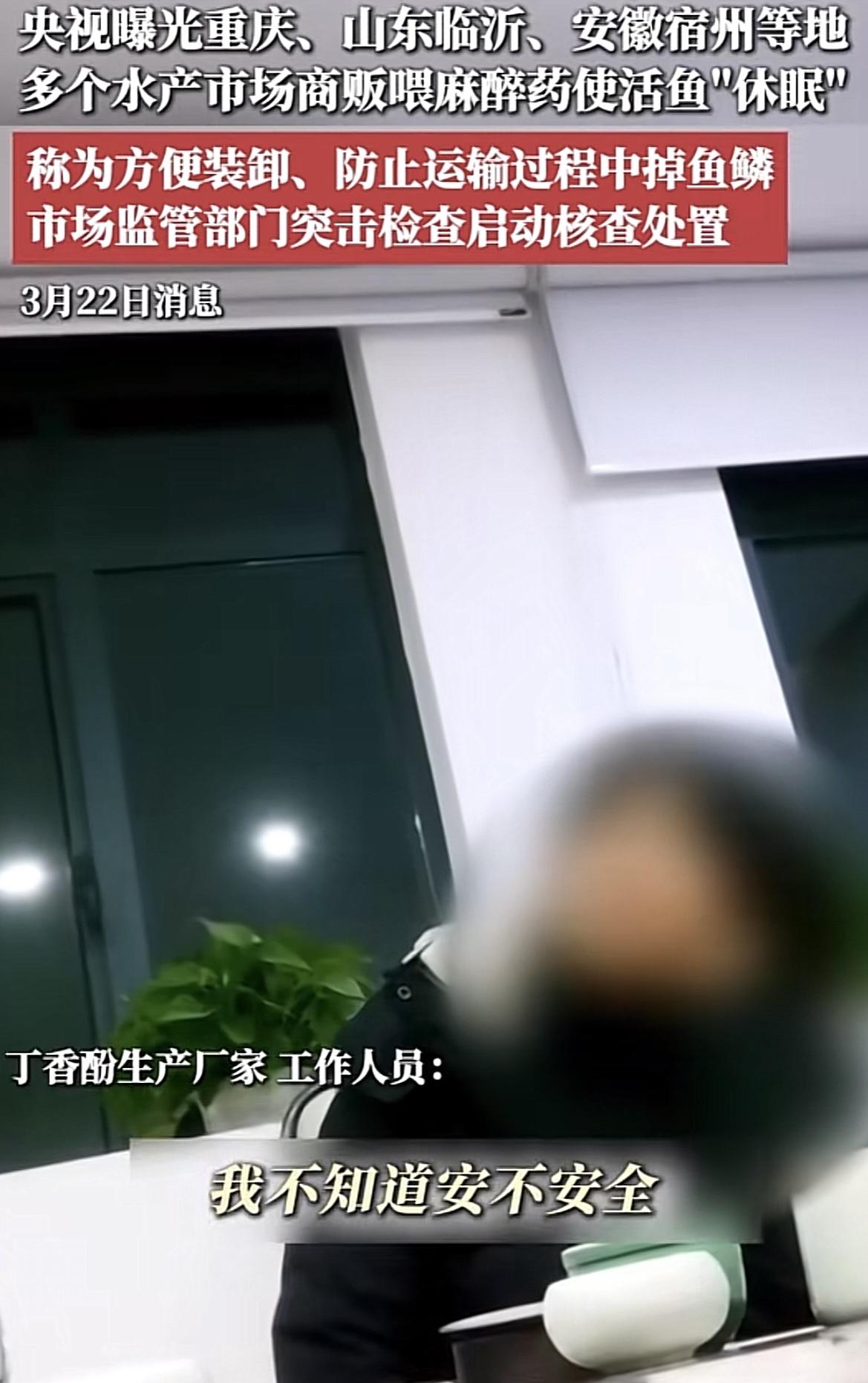 “我不知道安全不安全！”山东临沂等地活鱼用麻药事发后，面对记者的提问，药品生产厂
