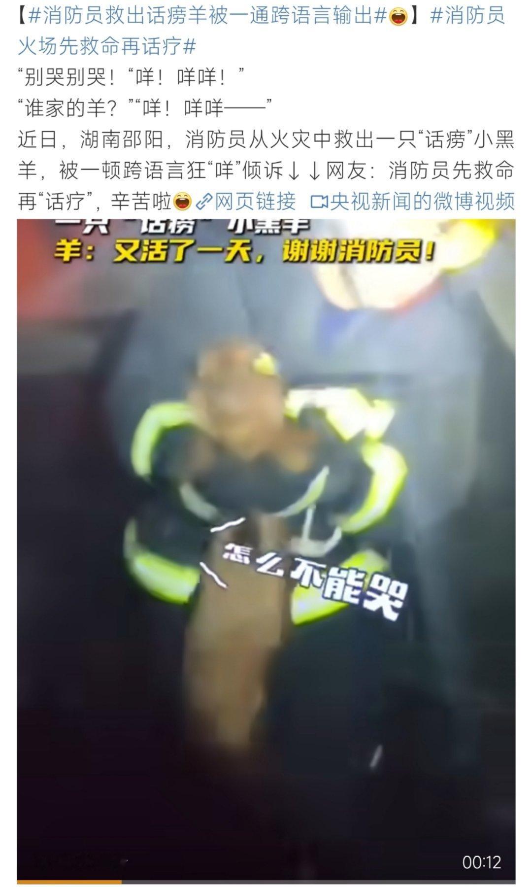 消防员救出话痨羊被一通跨语言输出羊:“又是活着的一天呀！”​​​