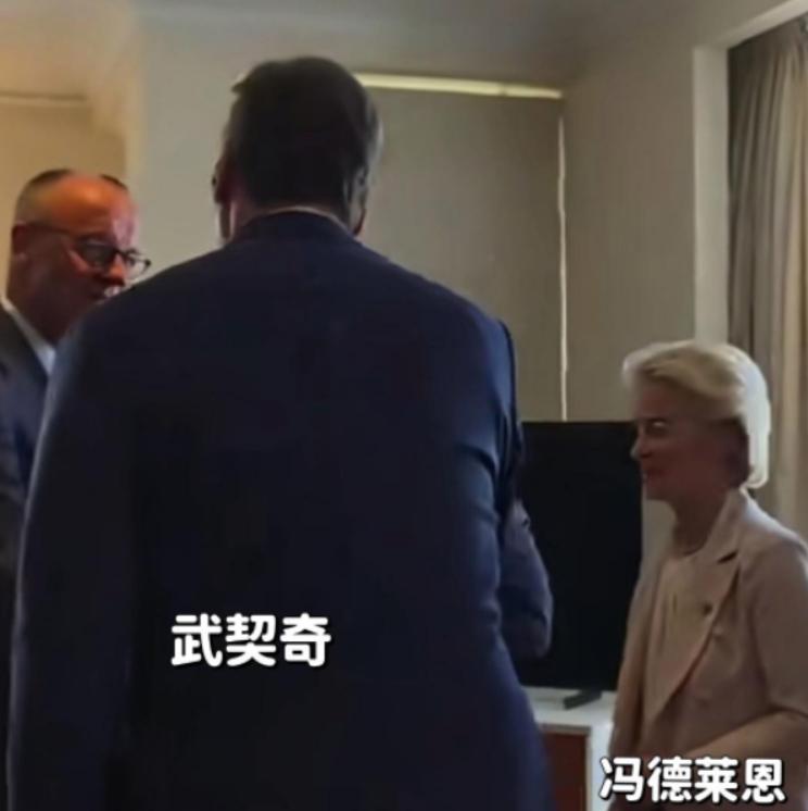 德：你们也不管管？中：管什么？德：就那个武契奇！拿了你的勋章！尾巴翘天上