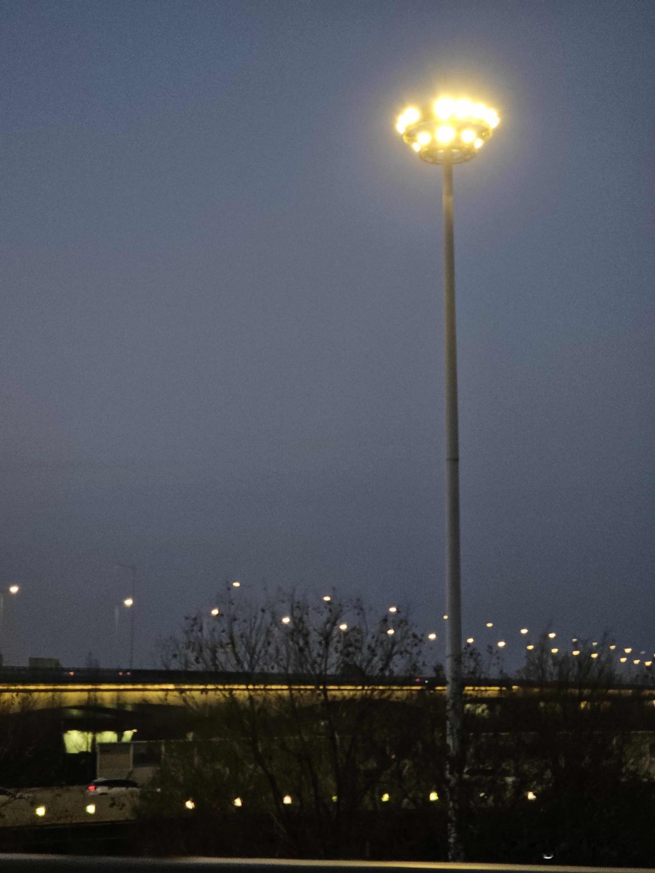 我爸妈不再天真以为