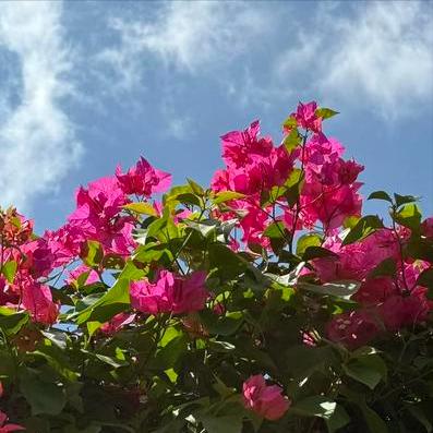 最高法：大力推进清理政府机关等拖欠中小企业账款传递出3个重要信号 最高法：大