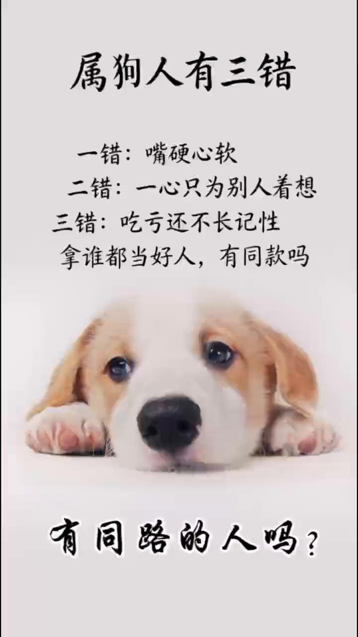 属狗人有三错。·一错：嘴硬心软。·二错：一心只为别人着想。·三错：吃亏还不