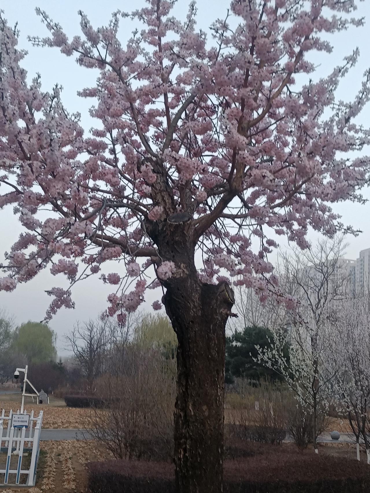 在学校有人让你的孩子去这三个地方，一定要告诉他，不管是谁，不管什么理由，千万不