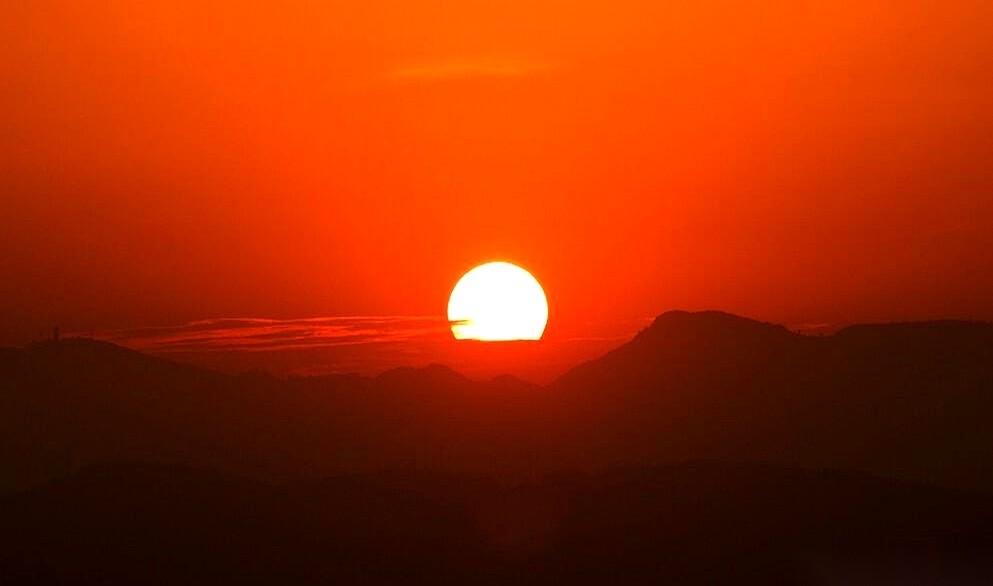 券商被放鸽子了？我看着都想笑。多少人一开盘就冲进去，以为天上掉馅饼，结果呢？开