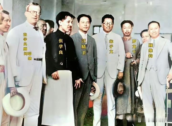 1933年的北平，张学良成功戒除鸦片，在当时这可是一桩大事。汪精卫、宋子文等一