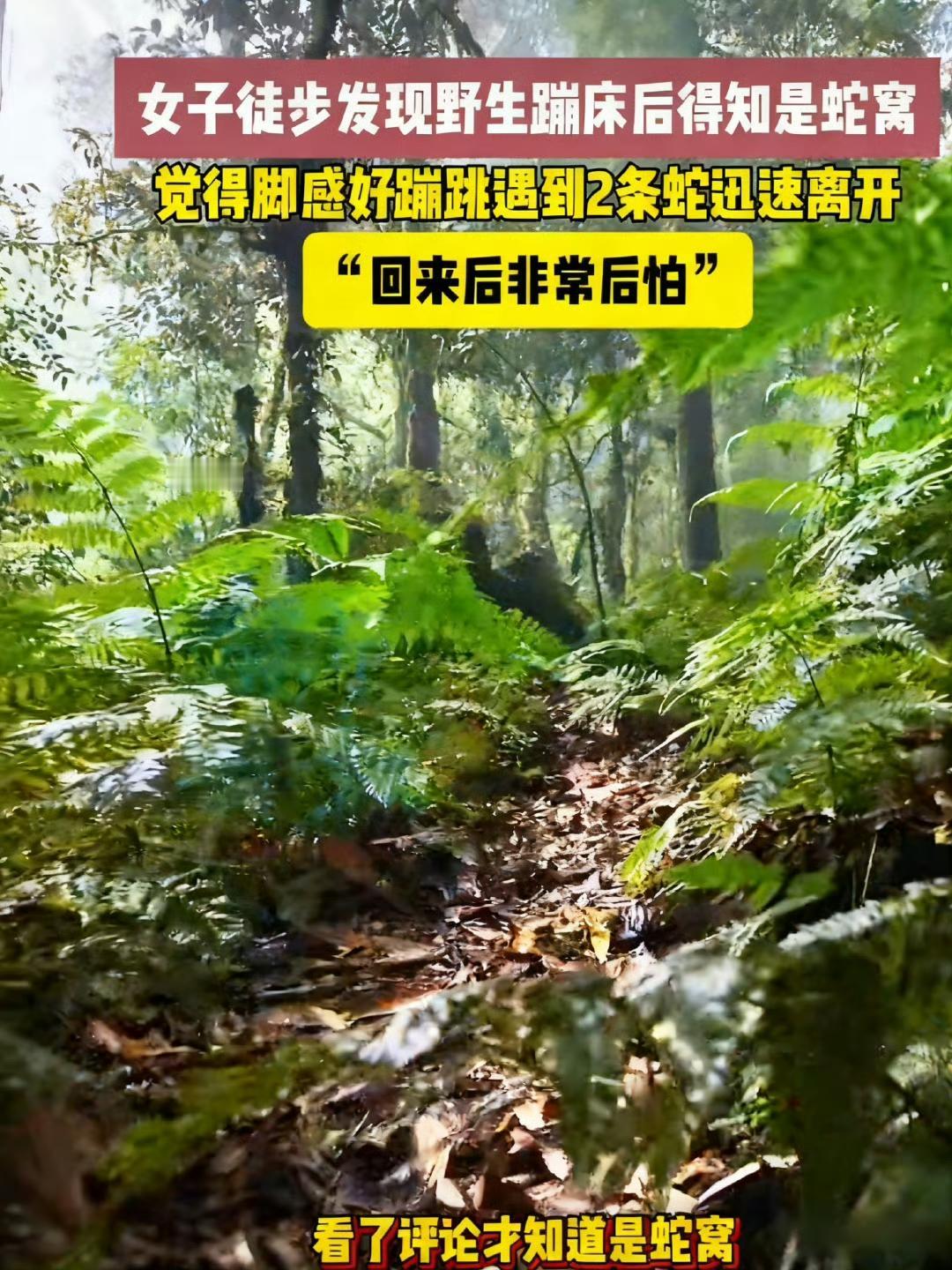 江西女子把蛇窝当野生蹦床,事后后怕到腿软:再晚几秒不敢想女子把蛇窝当野生蹦床蹦