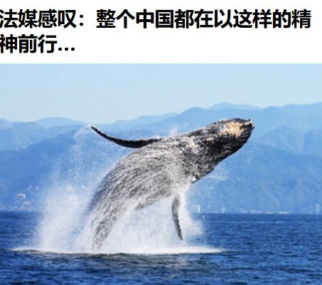 法国《世界报》刊文称：“整个中国，现在都在以一种‘你封我，我就自己造’的精神前行