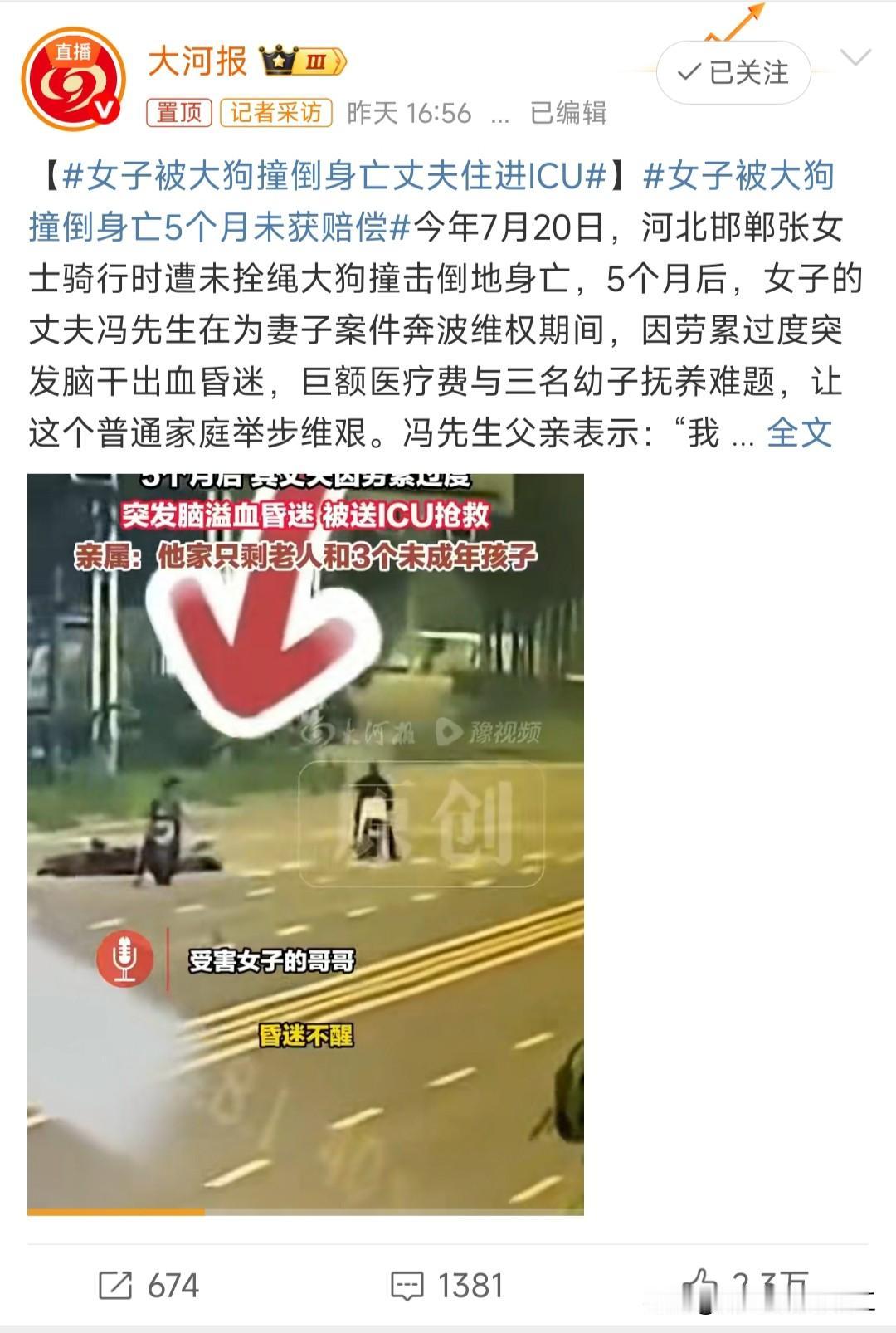 女子被大狗撞倒身亡丈夫住进ICU（因为一条狗让一个家庭直接支离破碎）这条狗是