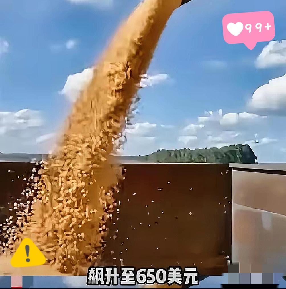 这些伎俩我们5000年前就见过了！！破解巴西大豆涨价，根本不用打大动干戈，只需