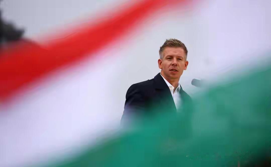 匈牙利大选将近，政坛画风突变。前政府高官出来单干组建蒂萨党，主打“回归欧洲、好好