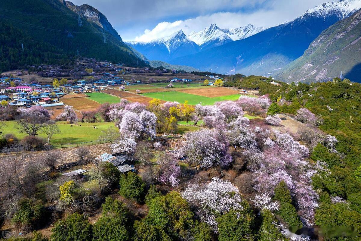 春暖花开，开启一场别样的春日浪漫之旅吧～​​​