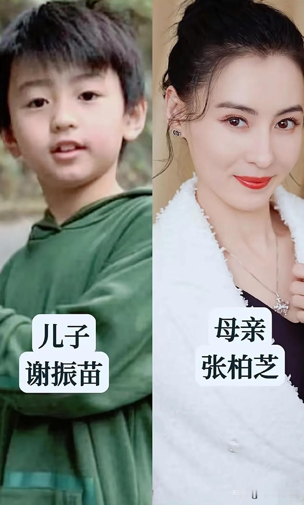 7位女星和儿子同框：有人把娃藏得严严实实，有人晒成小暖男张柏芝大儿子18岁了