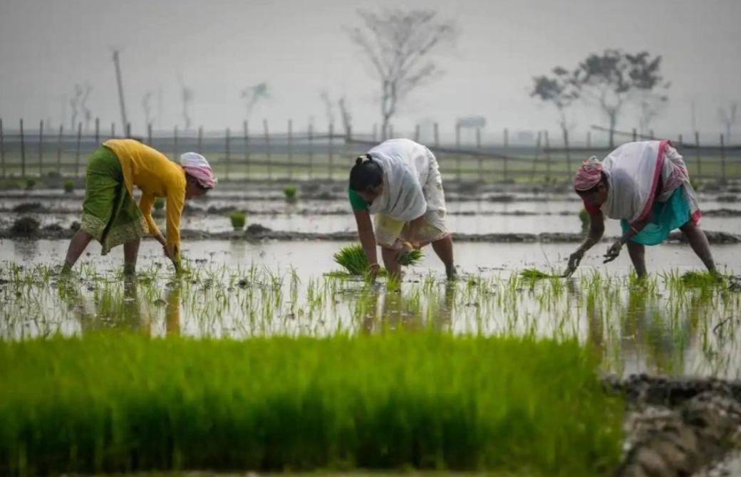 一个天天喊“自力更生”“要实现尿素自给”的国家，居然在春耕前急得满世界求人买化肥