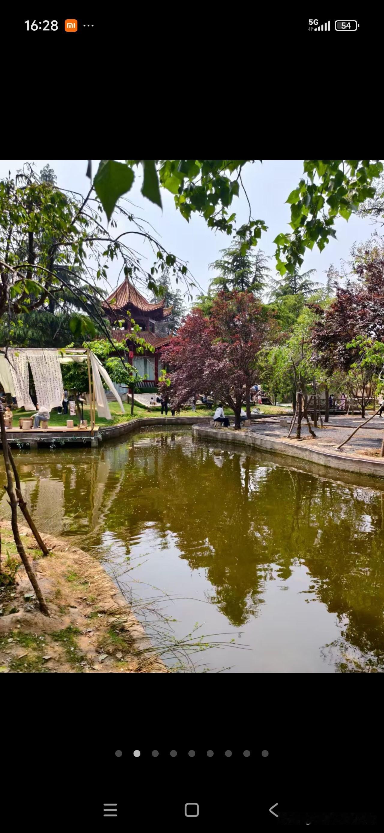 周末随手拍的美景翻出来啦，真的美到心坎里！波光粼粼的小河边绿树成荫，还有惬意的小