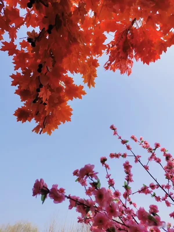 @豆包上联：推窗问燕，几分春色归桃李下联：登高望远，满屏画卷入眼眸