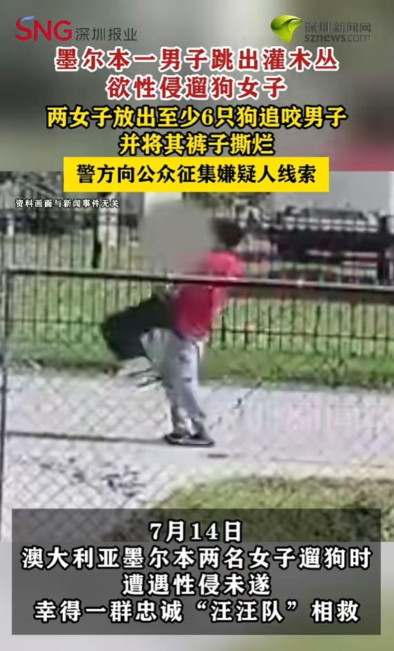 “真是活该！”澳大利亚，两名女子带着6只宠物犬散步时，一名男子从从灌木丛中冲出来