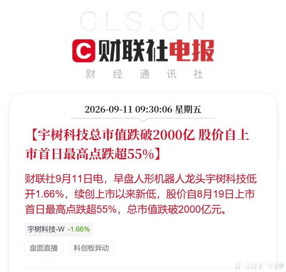 刚才看了下，跌4.98%，快到1900亿了​​​​。宇树科技总市值跌破2