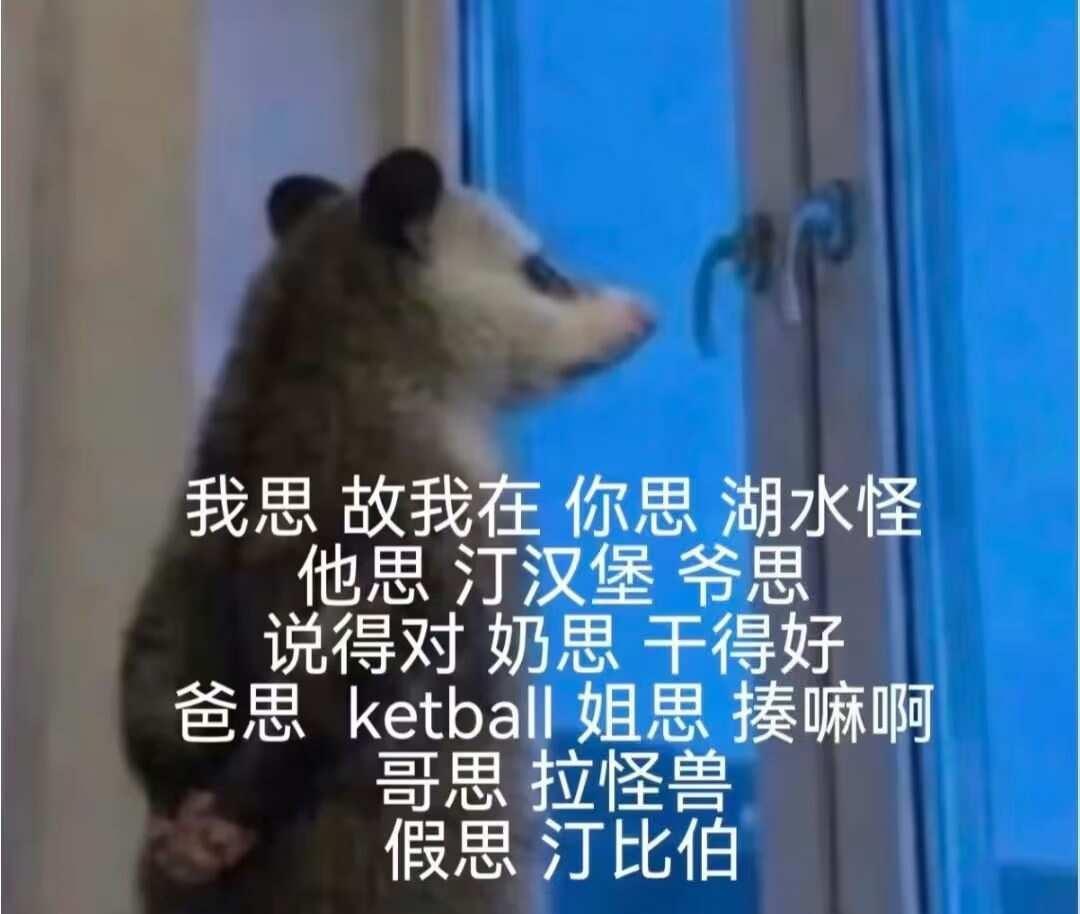 终于看懂了笑死我了梗图