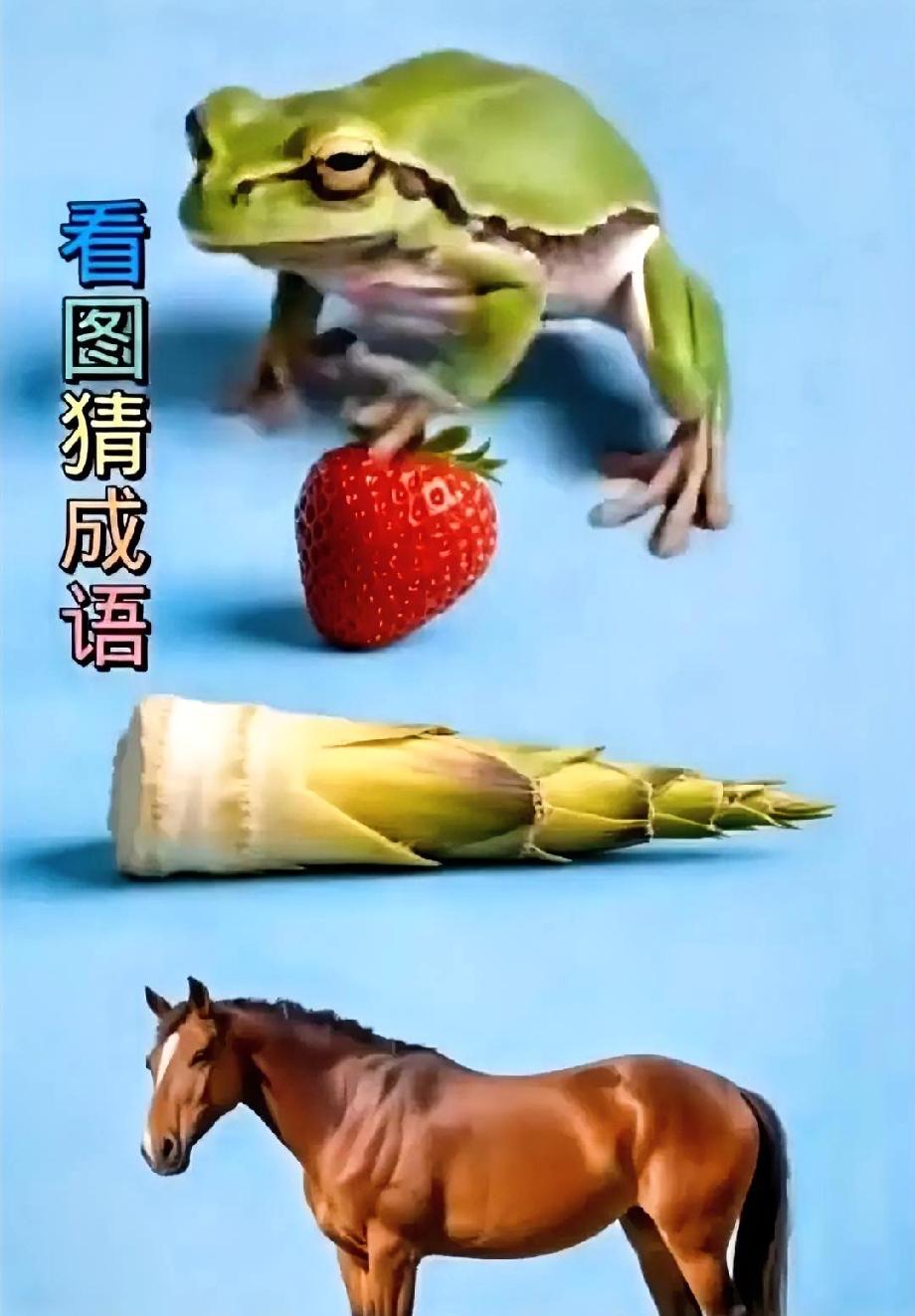 全网都卡壳的成语题：这4个东西拼起来是啥？据说只有1%的人能秒答！