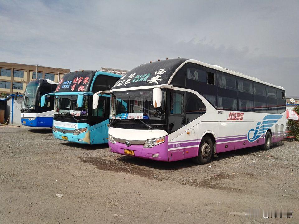 常德欣运鼎盛时期是湘西北道路运输的“陆运航母”，实力在全省同行业名列前茅。作为