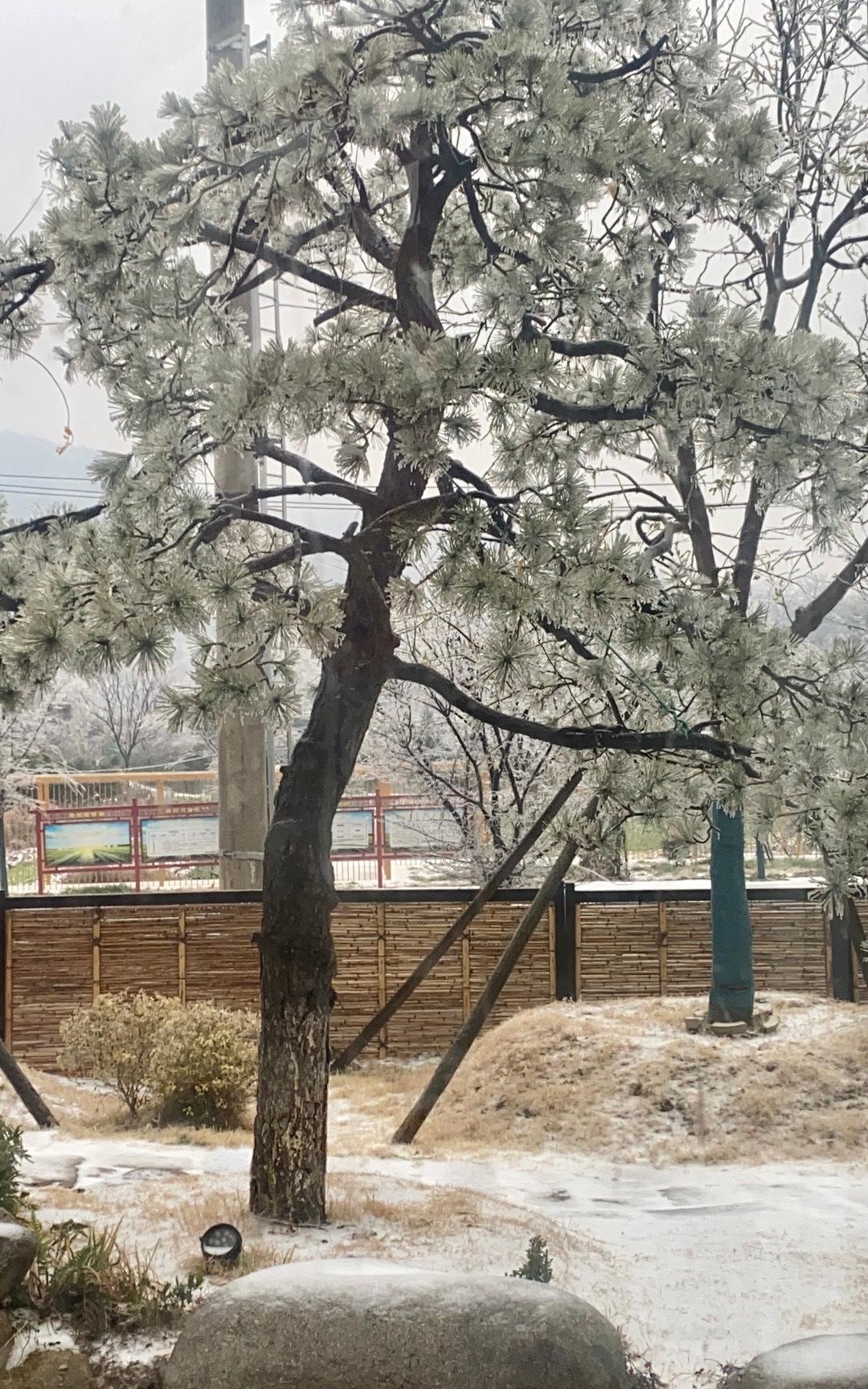 一楼的大哥62岁,开年查出来得了前列腺癌,医生跟他老婆说需要做手术,他老婆说回家