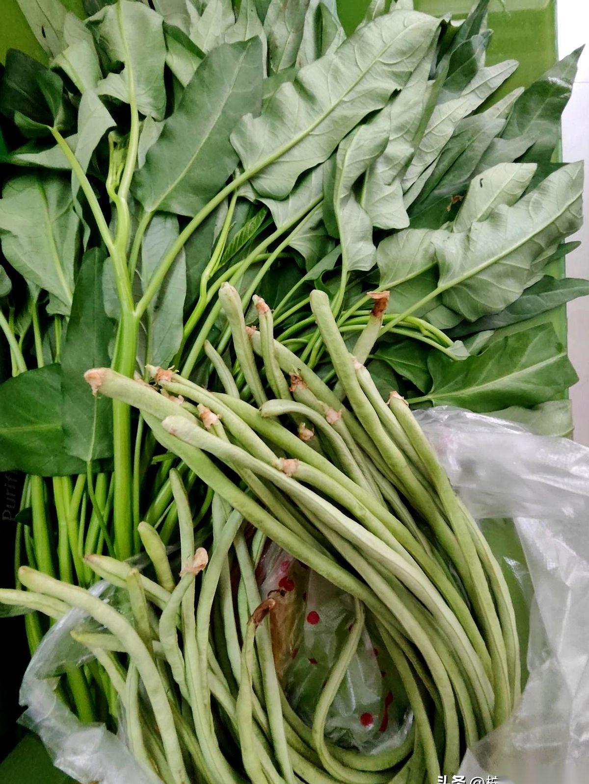 “老板，你这菜，泡过水没？”清晨六点多的菜市场，湿漉漉的地面反着光。我正挑着豇