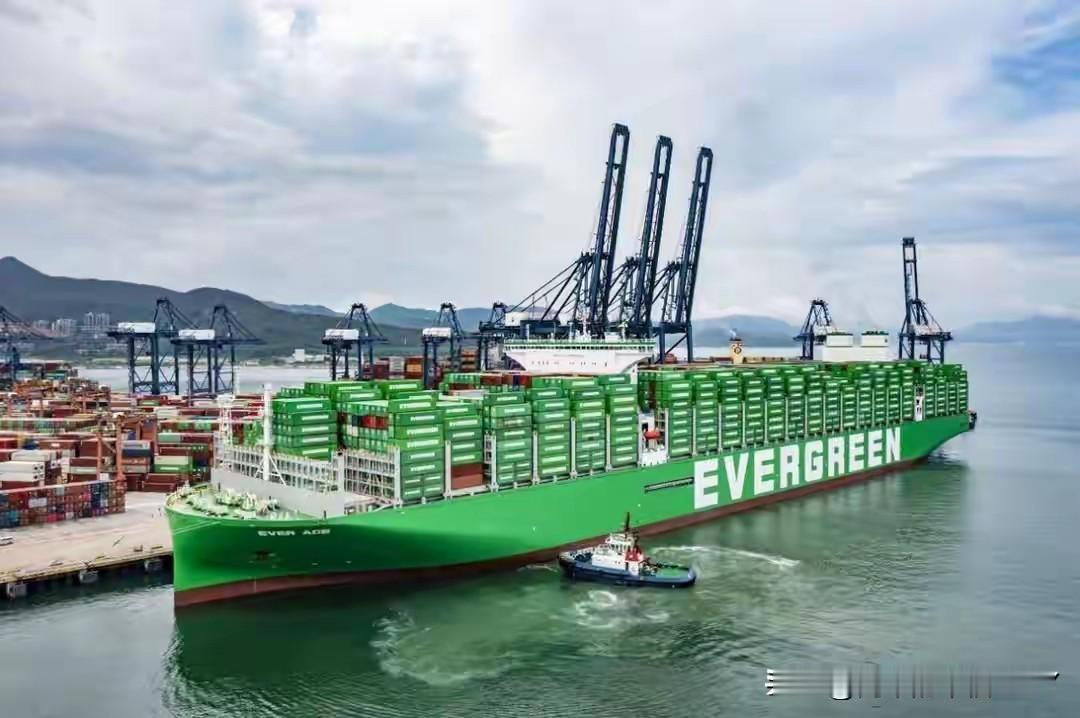 长荣海运这家企业，屡屡帮助台湾省当局触碰大陆的红线，觉得有必要对其进行制裁，必要