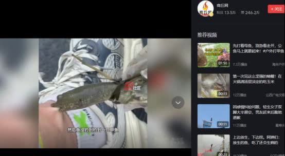 一点不吃亏！2024年江苏南京，男子钓鱼时钓到了一条甲鱼，回家期间，甲鱼突然探出