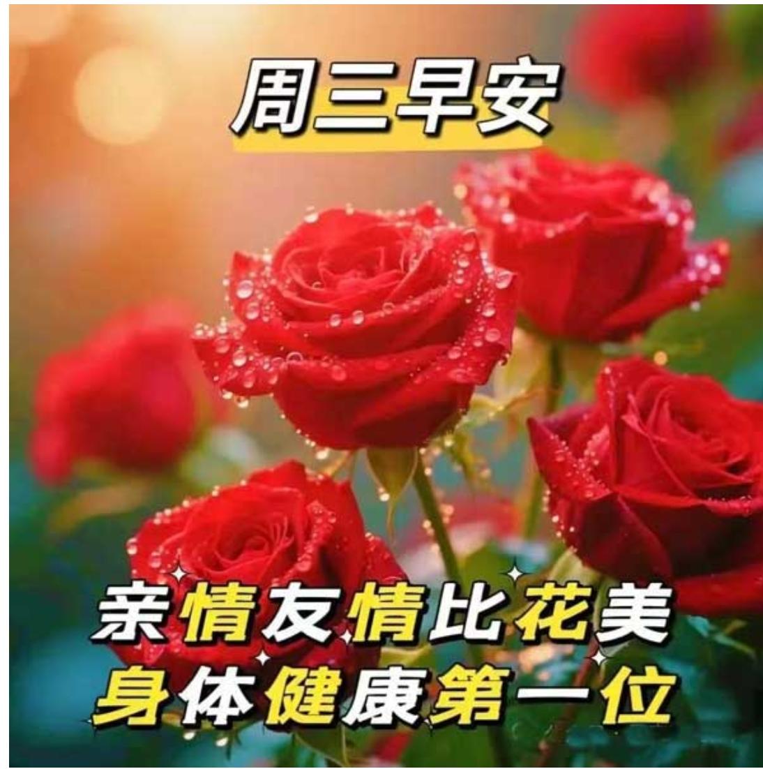 夏日炎炎暑天长，清风徐来送清凉；一声问候随风到，愿友岁月无波澜；三餐安暖