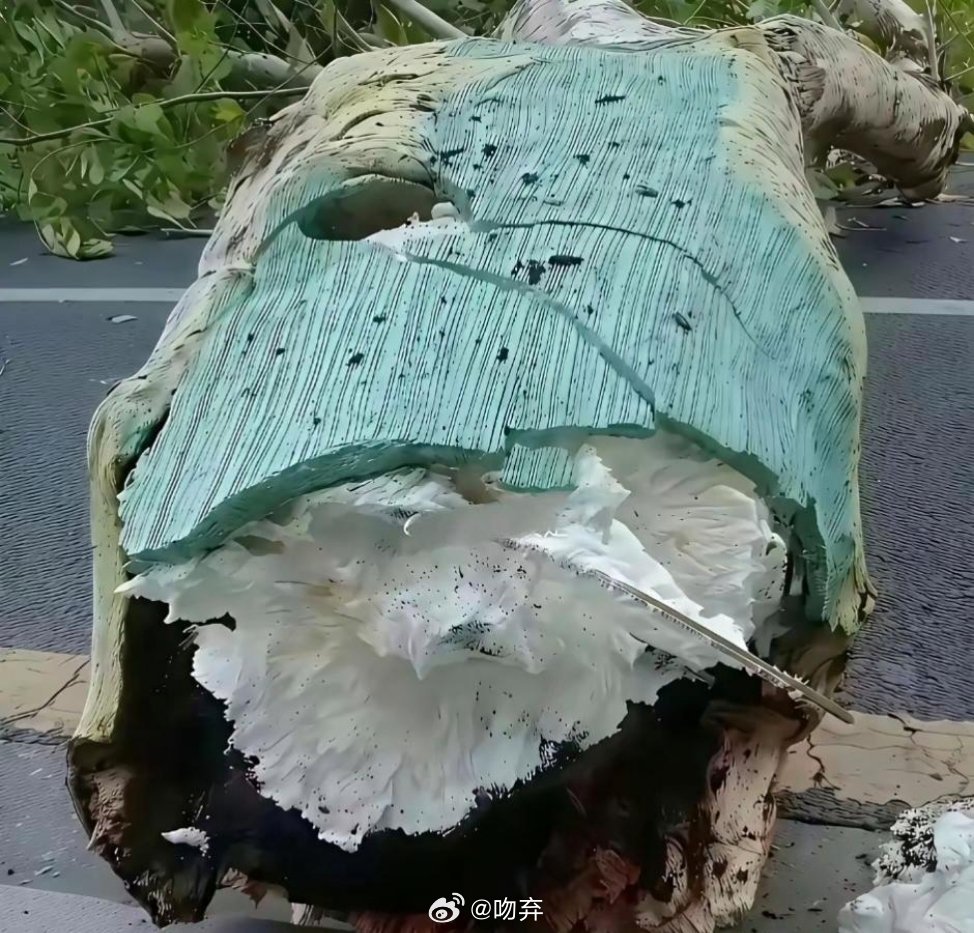 现在还有什么是真的