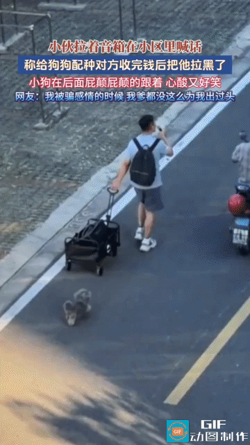 “想白嫖没门！”江苏，家中小母犬繁育期到了，男子提前和对方约定好配种服务，一次性