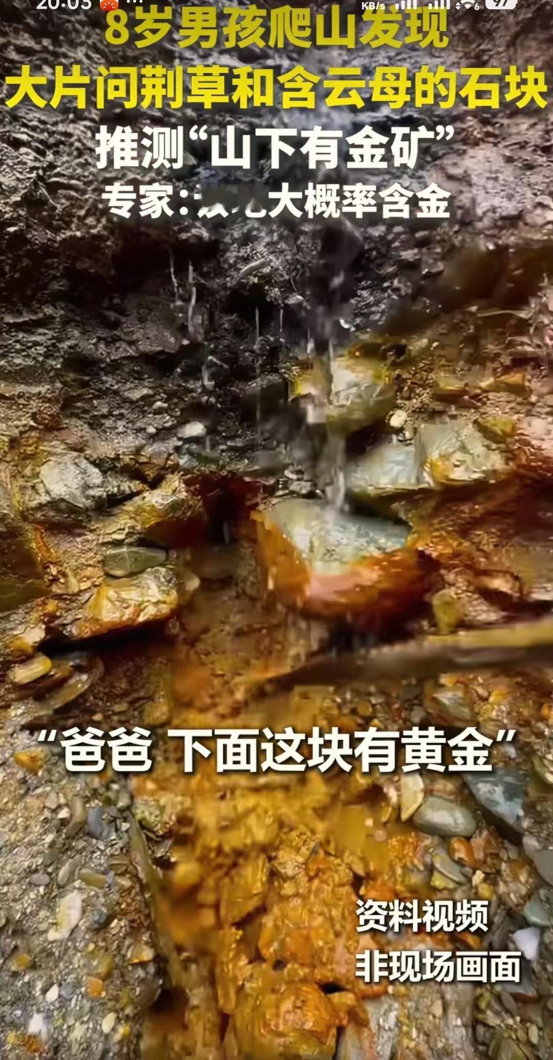 太厉害了，上人民日报了！​大连8岁的男孩和他的父亲孙先生爬山的时候，发现一个地