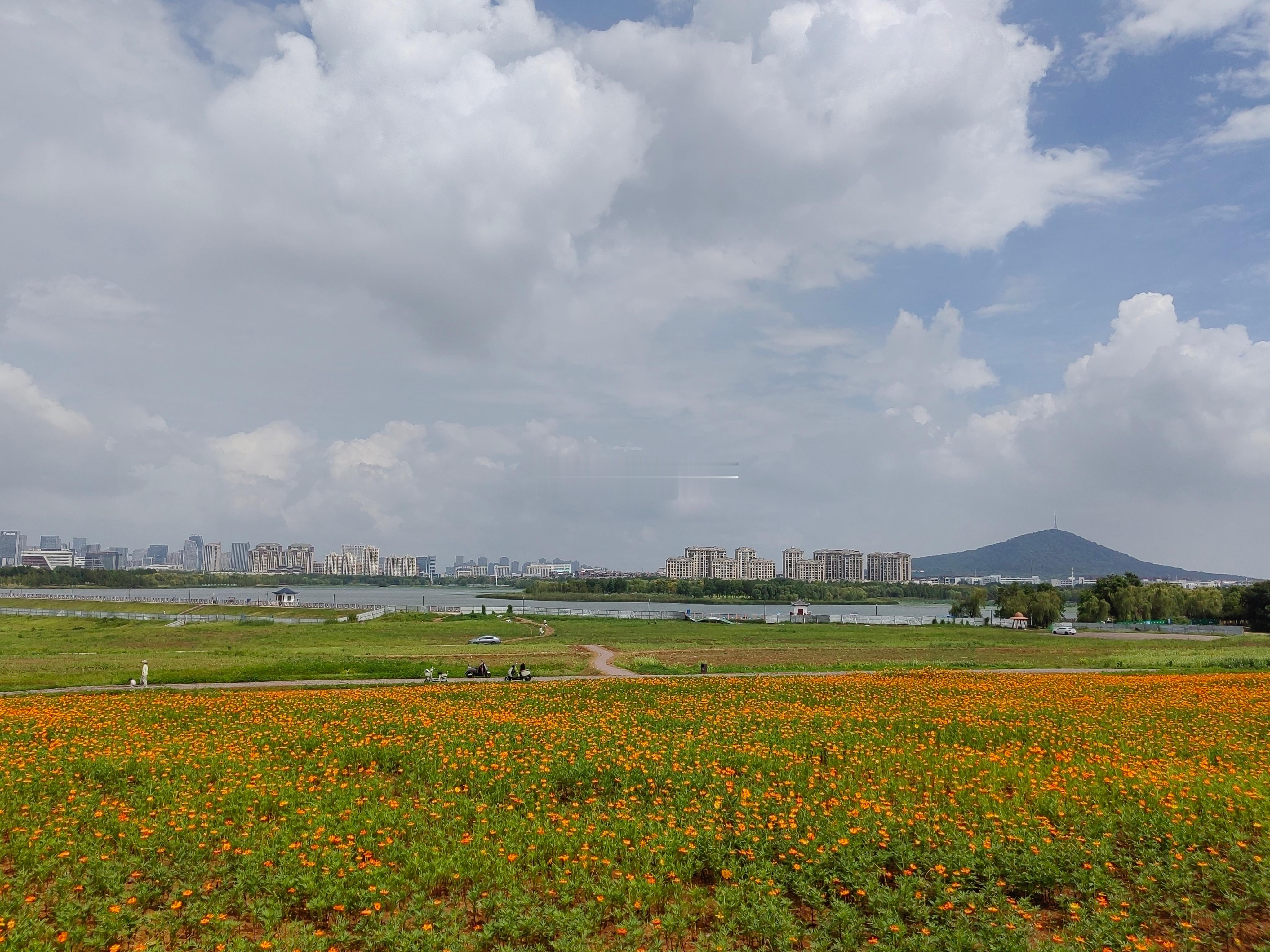 合肥北雁湖公园正在改造，北雁湖越来越好～​​​