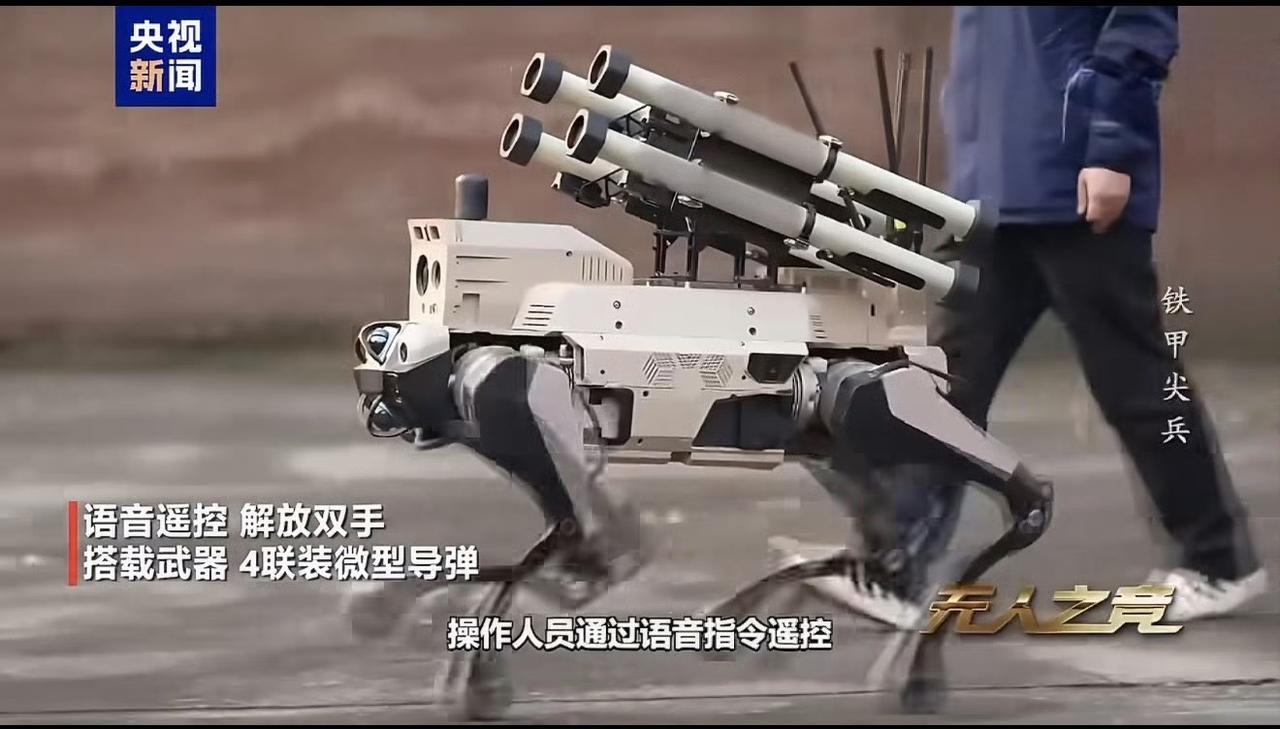 解放军现代战争，一名解放军士兵就成一个火力作战班。一个人带着一群狼的战斗力就