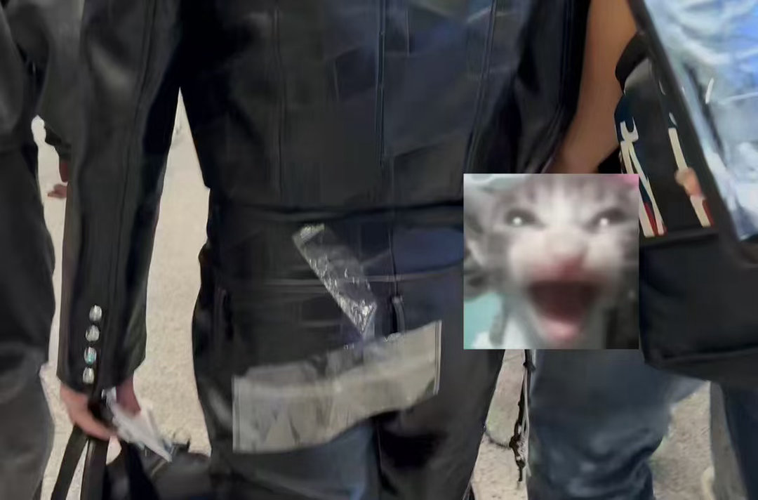 卧槽我笑死了哈哈哈哈哈哈哈哈哈哈哈哈哈哈哈哈哈哈哈哈哈哈哈哈猪：“窝的一生都很嘎